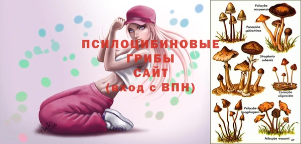 бутират Вяземский